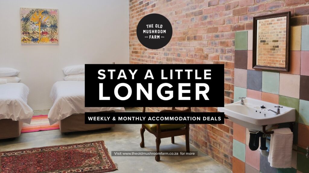 ✨ STAY A LITTLE LONGER ✨
