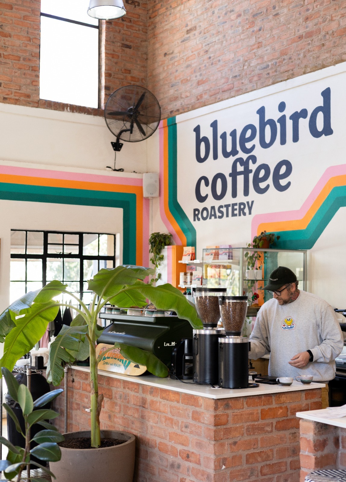 Bluebird Coffee Roastery