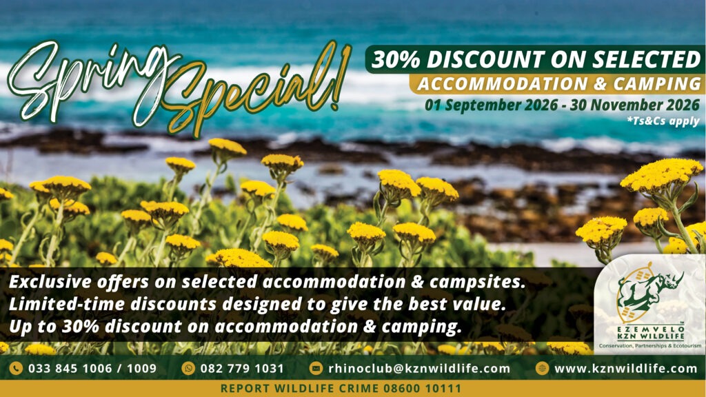 🌼 Spring is calling at Ezemvelo KZN Wildlife! 🌿